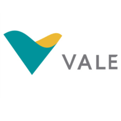 Logo • Vale do Rio Doce