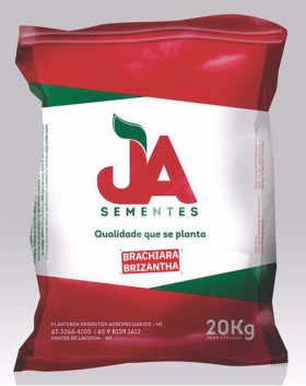 Cultivare Brachiara Brizantha da Sementes JA Cultivare Brachiara Brizantha da Sementes JA