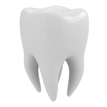 Imagem dente - Arte Trabalhos Realizados Única Odontologia