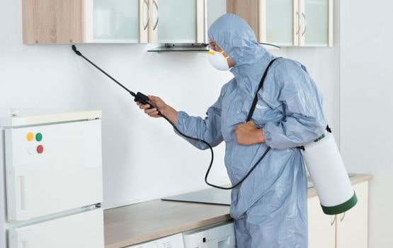 Desentupimento Desentupimento