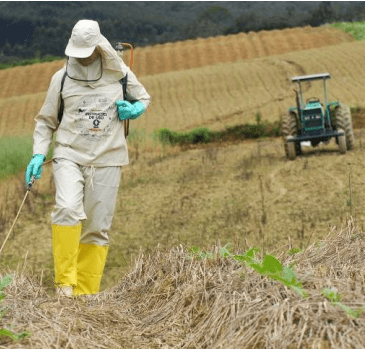 Segurança e Saúde no Trabalho Agricultura, Pecuária Silvicultura, Exploração Florestal e Aquicultura Segurança e Saúde no Trabalho Agricultura, Pecuária Silvicultura, Exploração Florestal e Aquicultura